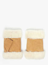 Gloves Isotoner Brown women gloves 68663