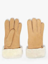 Gloves Isotoner Brown women gloves 68667