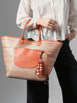 Longchamp Le panier pliage rainbow Besaces Multicolore-vue-porte