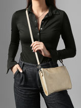 Shoulder Bag Brodery Miniprix Gold brodery 19676-vue-porte