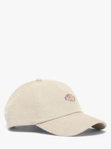 Casquette Dickies Beige hardwick KD0A4ZAY-vue-porte