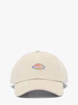 Cap Dickies Beige hardwick KD0A4ZAY