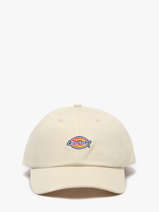 Cap Dickies Beige hardwick KD0A4TKV