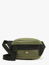 Ashville Belt Bag  Dickies Green ashville KD0A4Y1U