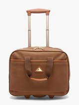 Pilot Case On Wheels Snowball Brown business 12040