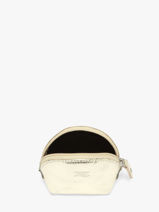 Leather Caviar Coin Purse Crinkles Gold caviar 14026-vue-porte