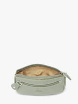 Leather Caviar Coin Purse Crinkles Green caviar 14036-vue-porte