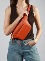 Sac Banane Est�e Laurent david Orange ld bags 93-vue-porte