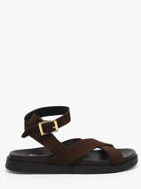 Sandals In Leather Steve madden Brown women 11004935