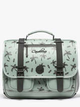 3-compartment Satchel Cameleon Green vintage north PBVWCA41