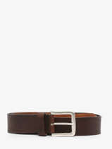 Belt Von dutch Brown belt ORSON