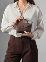 Longchamp Le pliage xtra Pochettes Marron-vue-porte