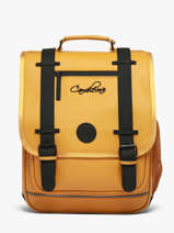 2-compartment Vintage North Backpack Cameleon Yellow vintage north SD39