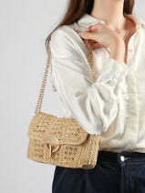 Sac Moyen Moon Raphia Tressage Chevron Vanessa bruno Beige moon raphia 91V40533-vue-porte