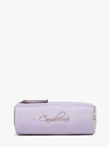 Trousse 1 Compartiment Cameleon Violet vintage fantasy STRO