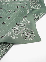 Longchamp Soie gots Scarf Green-vue-porte