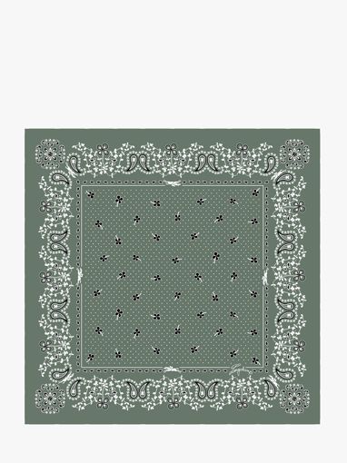 Longchamp Soie gots Scarf Green