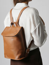 Longchamp Le foulonn� Backpack Brown-vue-porte