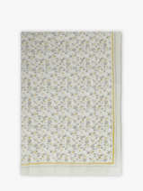 Scarf Gerard pasquier Multicolor foulard P25103