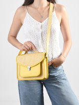 Sac Mademoiselle George Citronade Cuir Paul marius Jaune citronade GEORGCIT-vue-porte