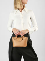 Longchamp Epure Messenger bag Brown-vue-porte