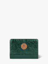 Portefeuille Cabaia Vert accessoire M