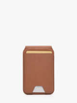 Card Holder Travel Brown wallet N52