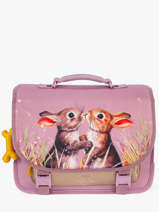 2-compartment Satchel Stones and bones Pink girls G