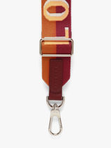 Longchamp Bandouli�re ombr�e Jewelry Multicolor-vue-porte