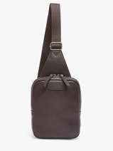 Crossbody Bag Etrier Brown flandres EFLA711M