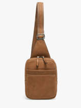 Crossbody Bag Etrier Brown spider ESPI711M