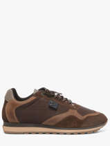 Sneakers Cetti Marron men 848