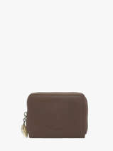 Coin Purse Woomen Brown camomille WCAO99
