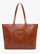 Shoulder Bag Shinny Flora & co Brown shinny F9980
