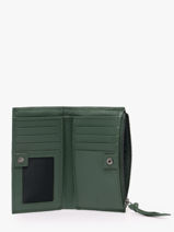 Portefeuille Cuir Biba Vert wallet VAW3L-vue-porte
