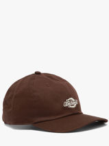 Cap Dickies Brown accessoires DK0A4Z6N-vue-porte