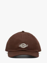 Casquette Dickies Marron accessoires DK0A4Z6N