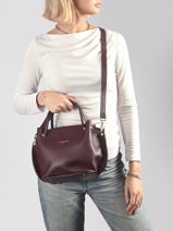 Sac � Main Foulonne Double Cuir Lancaster Marron foulonne double louisa 18-vue-porte