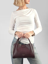 Handbag Ida Double Leather Lancaster Brown ida double 84-vue-porte