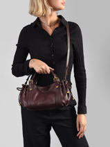 Crossbody Bag Icone Leather Gerard darel Brown icone DES73410-vue-porte