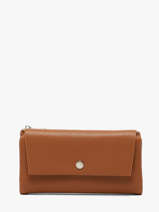 Portefeuille Porte-monnaie Grained Flora & co Marron grained F5039
