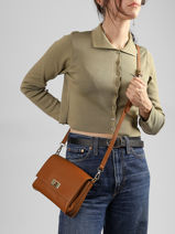 Sac Bandouli�re Caviar Cuir Milano Marron caviar CA24061O-vue-porte
