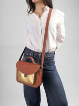 Shoulder Bag Dore Leather Paul marius Brown dore GEORGDOR-vue-porte