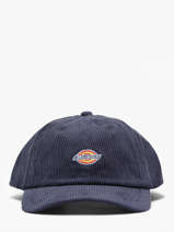 Cap Dickies Blue accessoires DK0A4ZAY