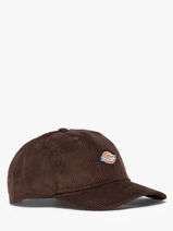 Cap Dickies Brown accessoires DK0A4ZAY-vue-porte