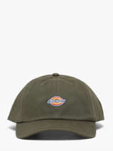 Casquette Hardwick Dickies Vert accessoires DK0A4TKV