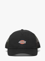 Cap Dickies Black accessoires DK0A4YV3