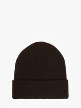 Bonnet Dickies Marron accessoires DK0A4X7K-vue-porte