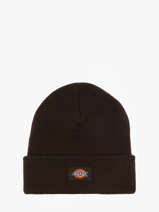 Beanie Dickies Brown accessoires DK0A4X7K