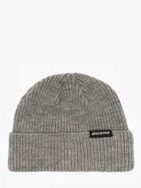 Bonnet Dickies Gris accessoires DK0A4X7Y